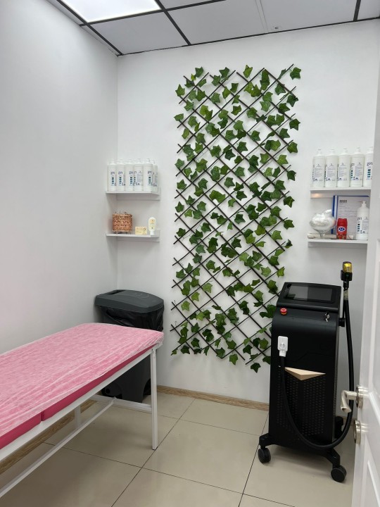 Salon Görseli